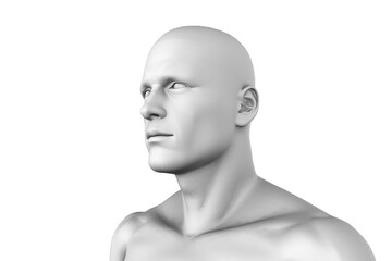 Digital composite of human figure 