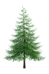 Christmas tree, green conifer spruce, hight fir tree. Isolated object for forest scenes background, environment design illustrations. 