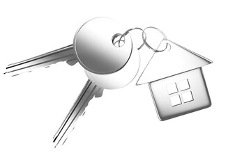 Metallic key with ring