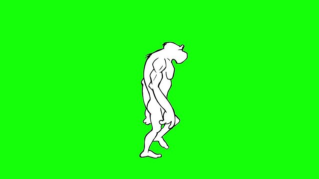 Human Evolution. Monkey, Neanderthal, Primate and HomoSapiens Morphing and walking. Hand drawn animation. Chroma key.