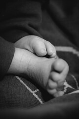 Baby, Babyhand, Babyf&uuml;sse, Fotoshooting, F&uuml;sse, H&auml;nde