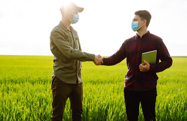 Farmers using touch pad for check wheat quality in the field.Two farmers making agreement with...
