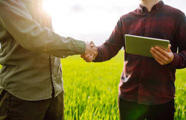 Farmers using touch pad for check wheat quality in the field.Two farmers making agreement with...