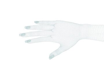 3d illustration of human hand 