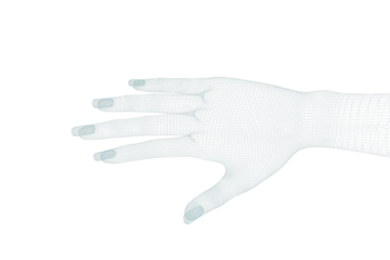 3d illustration of human hand 