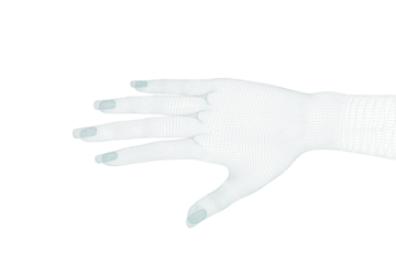 Fotobehang 3d illustration of human hand  © vectorfusionart