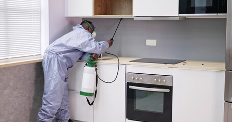 Man Showing At Pest Control Worker Spraying Insecticide On Shelf