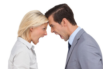 Colleagues quarreling head against head