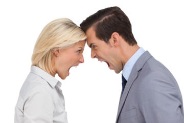 Colleagues quarreling head against head