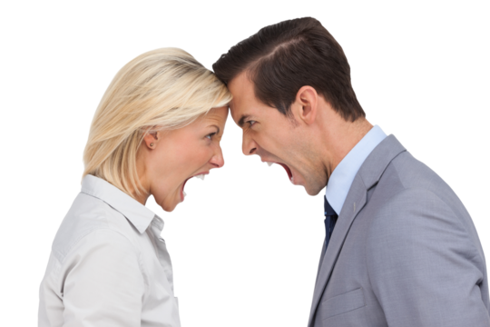 Colleagues quarreling head against head