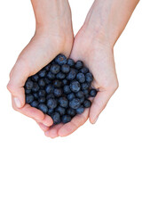 Woman holding blueberries