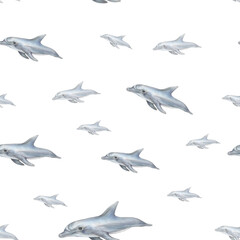 Hand drawn graphic dolphins. Flying dolphins seamless pattern. Dolphin on white background.