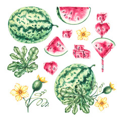 Watercolor watermelon set with watermelon slices, flowers, canapes