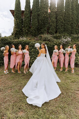 Group portrait of bride and bridesmaids. Wedding. Bride in wedding dress and bridesmaids in white...
