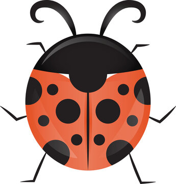 Bettle icon