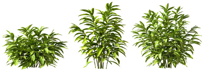 Greenery shrubs plants shapes cut out backgrounds 3d render png