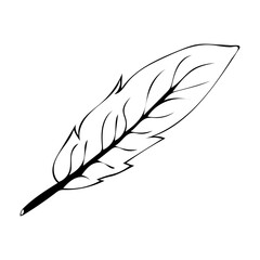 Vector illustration of a doodle-style pen drawn