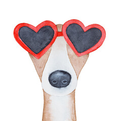 Watercolour illustration of elegant whippet dog wearing heart-shaped sunglasses in bright red color. Hand painted water colour graphic drawing on white background, cut out clipart element for design. - 587424801