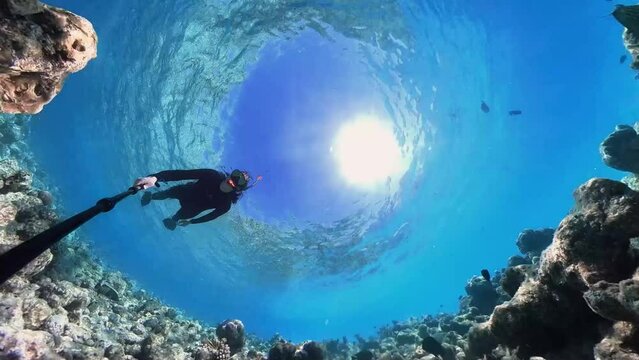 Woman snorkeling in full body suit as sun protection in tropical sea over corals in coral garden in reef of Maldives island in 360 degree video camera mode