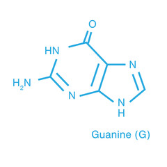 Fototapeta premium Illustrative image of guanine