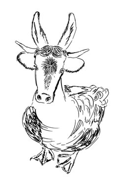 Fabelwesen, Wolpertinger aus Kuh Hase und Gans, Strichzeichnung 