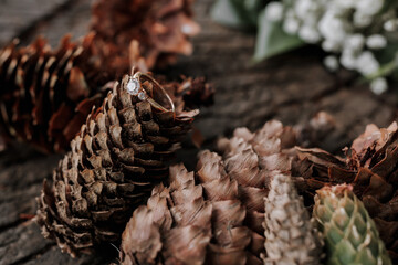 wedding ring lying on a Christmas tree cone, on a beautiful textured surface, photo details. composition