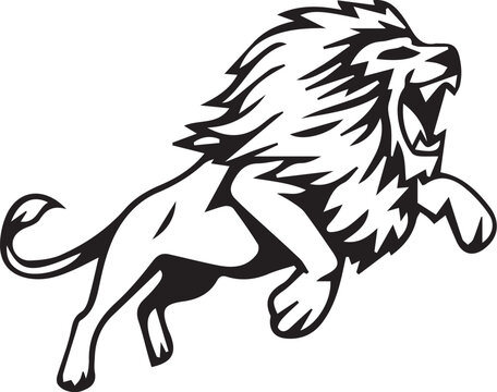 
vector lion illustration design