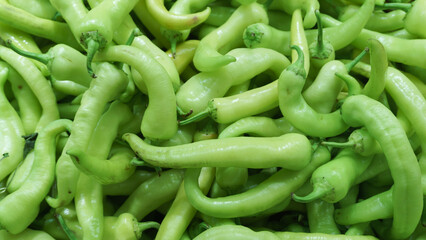 Green charleston peppers on market stall for sale.