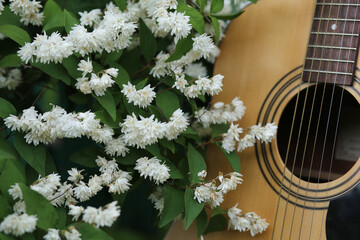 White jasmine flowers next to the metal strings of a classical guitar.