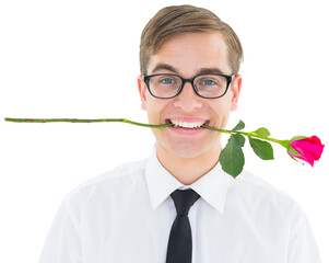 Obraz premium Geeky hipster holding a red rose in his teeth