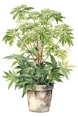 Watercolor Japanese Angelica Illustration for Natural and Serene Home Decor. Generative AI