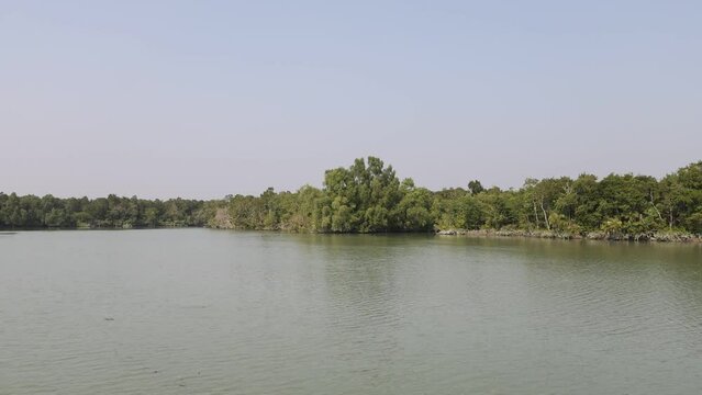 Sundarbans National Park.4k fottage without editing.this video was taken from Sundarbans,Bangladesh.