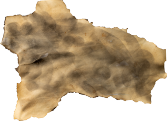 Image of close up of burnt paper with copy space on transparent background