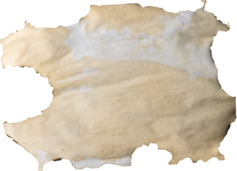 Image of close up of burnt paper with copy space on transparent background