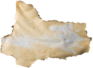 Image of close up of burnt paper with copy space on transparent background