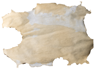 Image of close up of burnt paper with copy space on transparent background
