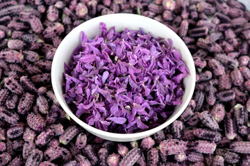 In Turkey harvested flowers of crested lavender (Herba Lavandualae stoechas) ready for further...