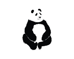 vector illustration design of an animal named panda originating from China which consists of black and white colors that are seen sitting while crossing its legs