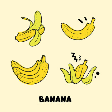 vector hand drawn banana food card set