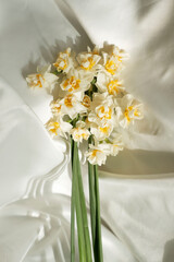 bouquet of white flowers