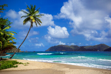 Obraz premium Beach in Charlotteville. Tobago,Republic of Trinidad and Tobago, Southern Caribbean