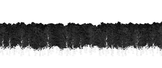 trees in the forest isolated on a transparent background, outline illustration, cg render