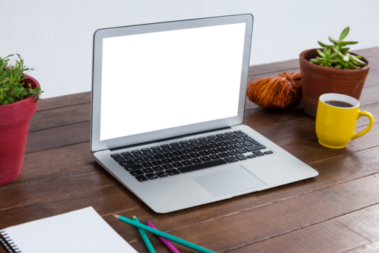 Laptop with pot plant and coffee mug in wooden table