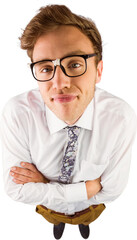 Young geeky businessman looking at camera