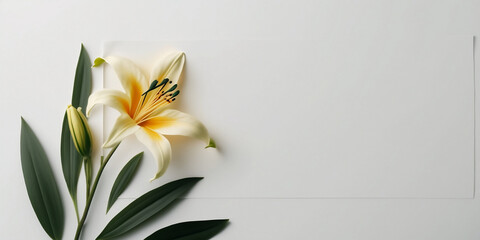 Lilly flowers isolated on white background. Happy Mother's Day, Birthday, anniversary or Valentine's Day concept background. Generative AI