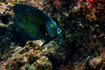 Fototapeta na wymiar Digitally created watercolor painting of a French Angelfish swimming over a coral reef.