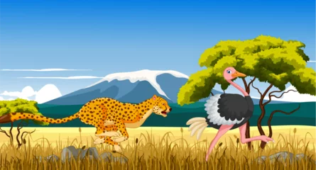 Fototapeten cheetah hunt ostrich with landscape background © ayub
