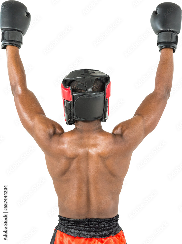 Wall mural Boxer posing after victory