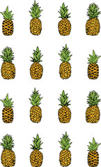 Illustration of pineapple fruit