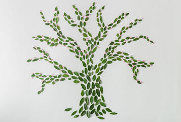 Blooming tree silhouette made of green Leaves on white Background. Creative natur concept. Aesthetic flat lay.